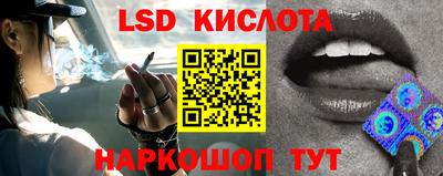 круглые Камышлов